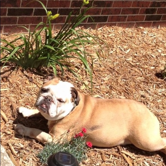 Meet your Posher, Jamie - Picture 1 of 1